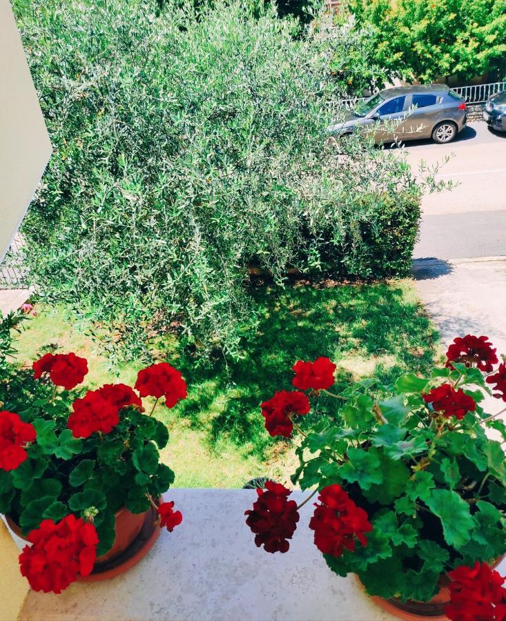 Apartment Novigrad Novigrad Istria Exterior foto