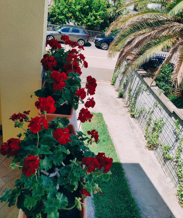 Apartment Novigrad Novigrad Istria Exterior foto